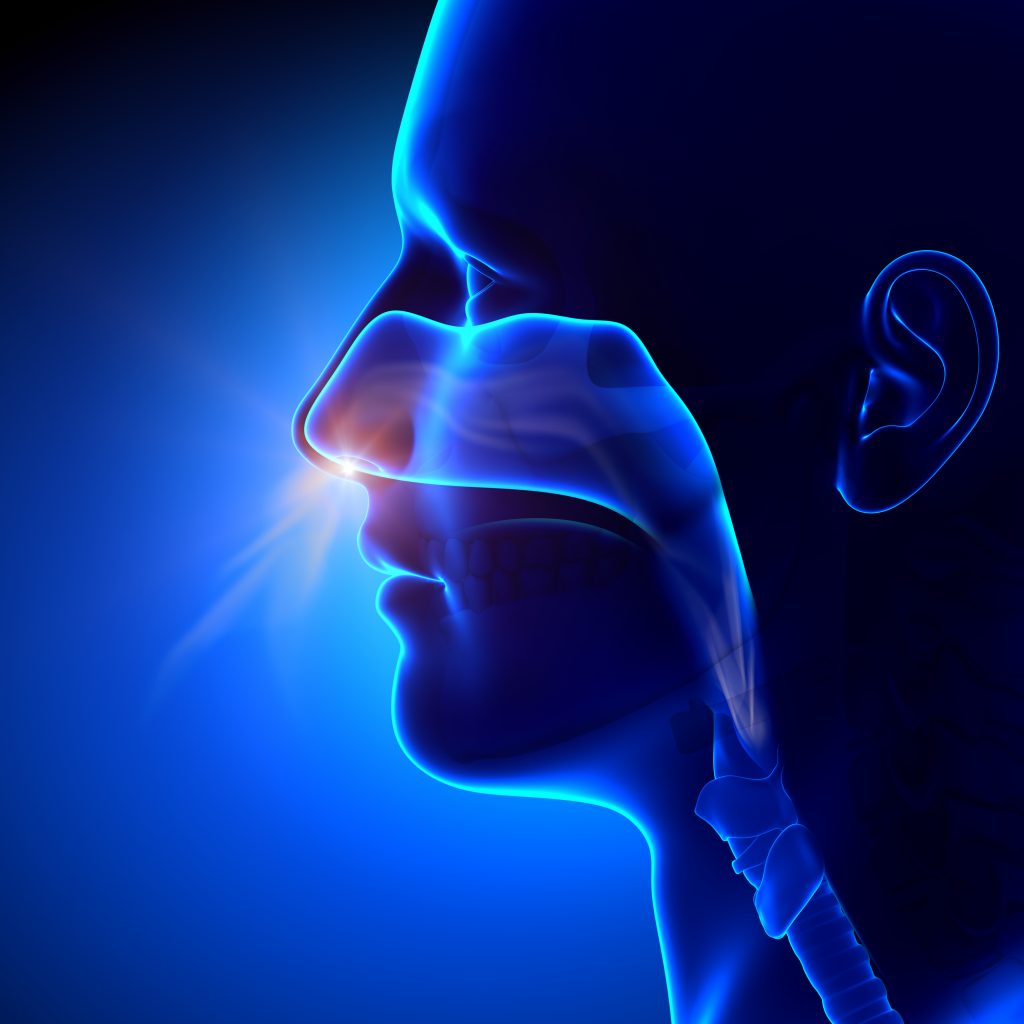 shutterstock_170831606 Rhinoplasty Surgeon London